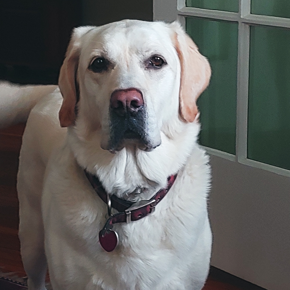 Meet your Posher, Madeline